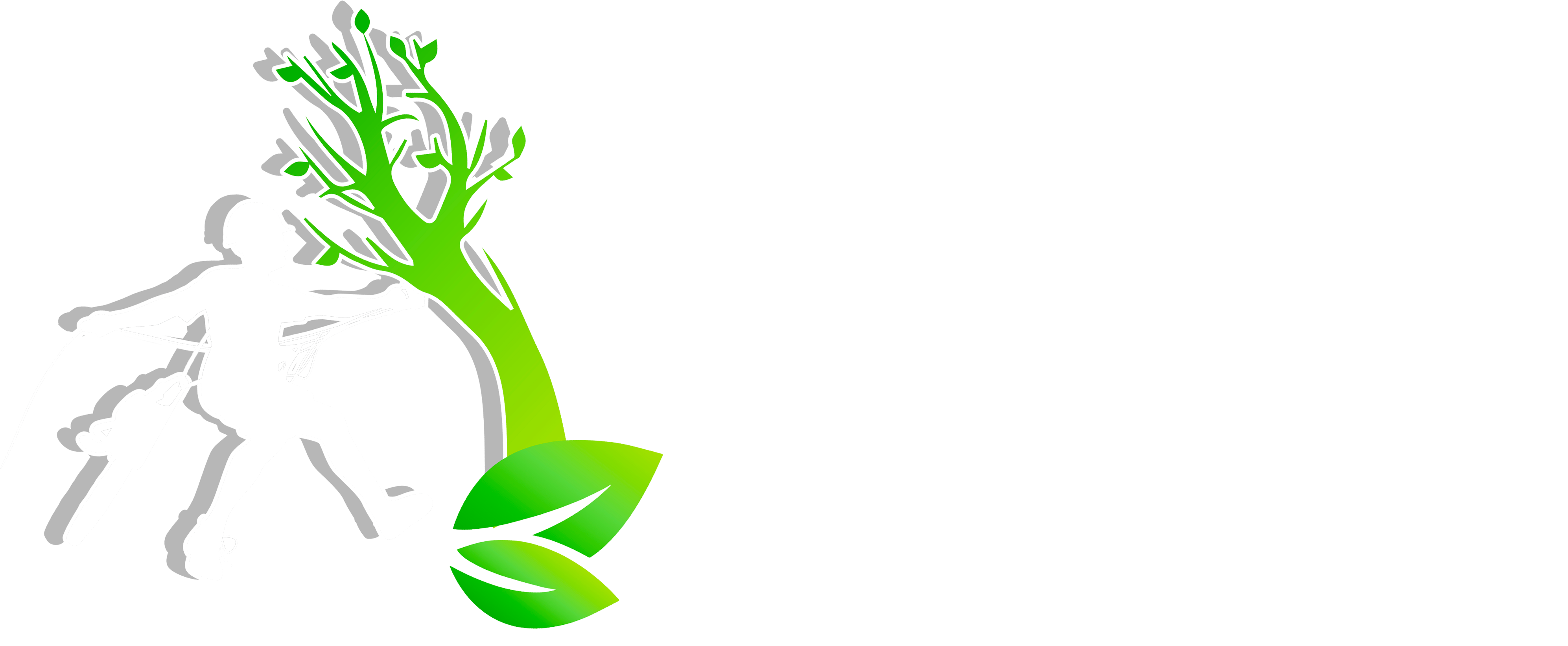 Entretien d'espaces verts et élagage à Champigny sur Marne dans le Val de Marne (94) - Elagage Reihnardt