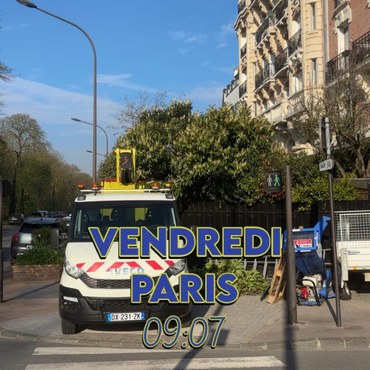 Travaux d'élagage et entretien d'espaces verts à Champigny-sur-Marne (94500) - Elagage Reihnardt
