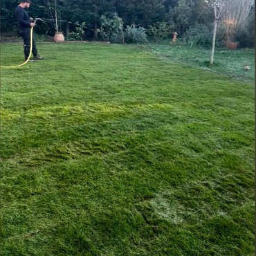 Travaux d'élagage et entretien d'espaces verts à Champigny-sur-Marne (94500) - Elagage Reihnardt