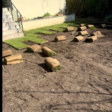 Travaux d'élagage et entretien d'espaces verts à Champigny-sur-Marne (94500) - Elagage Reihnardt