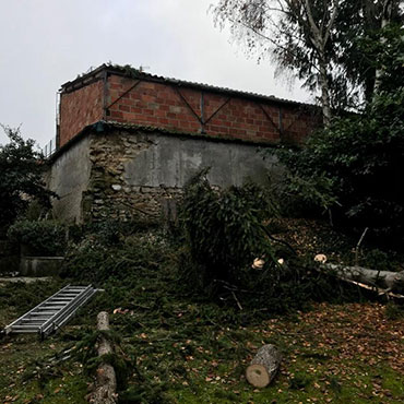 Entretien d'espaces verts et élagage à Champigny sur Marne dans le Val de Marne (94) - Elagage Reihnardt