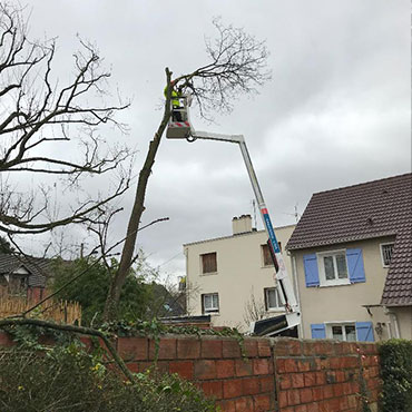 Entretien d'espaces verts et élagage à Champigny sur Marne dans le Val de Marne (94) - Elagage Reihnardt