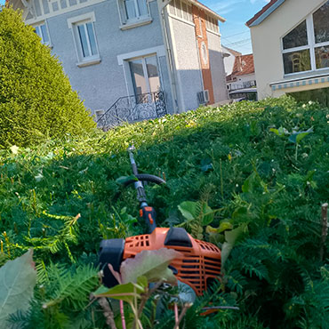 Entretien d'espaces verts et élagage à Champigny sur Marne dans le Val de Marne (94) - Elagage Reihnardt