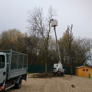 Entretien d'espaces verts et élagage à Champigny sur Marne dans le Val de Marne (94) - Elagage Reihnardt