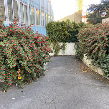 Entretien d'espaces verts et élagage à Champigny sur Marne dans le Val de Marne (94) - Elagage Reihnardt