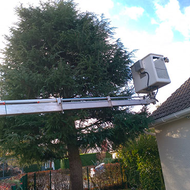 Entretien d'espaces verts et élagage à Champigny sur Marne dans le Val de Marne (94) - Elagage Reihnardt