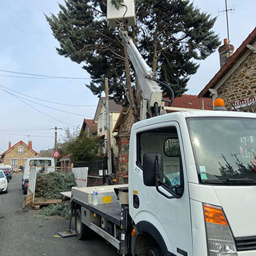 Entretien d'espaces verts et élagage à Champigny sur Marne dans le Val de Marne (94) - Elagage Reihnardt