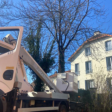 Entretien d'espaces verts et élagage à Champigny sur Marne dans le Val de Marne (94) - Elagage Reihnardt