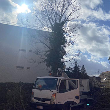 Entretien d'espaces verts et élagage à Champigny sur Marne dans le Val de Marne (94) - Elagage Reihnardt