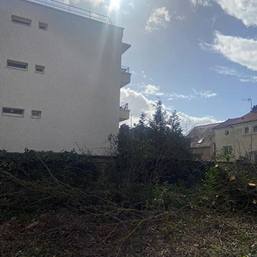 Entretien d'espaces verts et élagage à Champigny sur Marne dans le Val de Marne (94) - Elagage Reihnardt