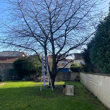 Entretien d'espaces verts et élagage à Champigny sur Marne dans le Val de Marne (94) - Elagage Reihnardt