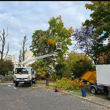 Entretien d'espaces verts et élagage à Champigny sur Marne dans le Val de Marne (94) - Elagage Reihnardt