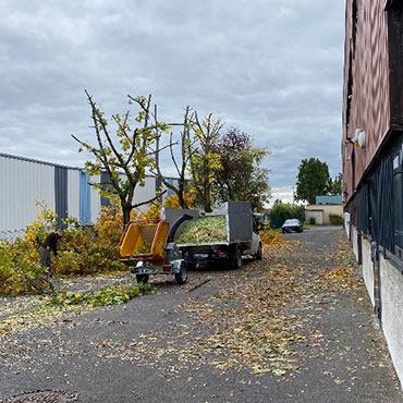 Entretien d'espaces verts et élagage à Champigny sur Marne dans le Val de Marne (94) - Elagage Reihnardt