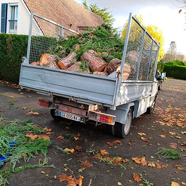 Entretien d'espaces verts et élagage à Champigny sur Marne dans le Val de Marne (94) - Elagage Reihnardt