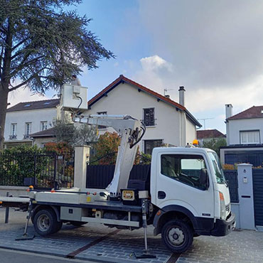 Entretien d'espaces verts et élagage à Champigny sur Marne dans le Val de Marne (94) - Elagage Reihnardt