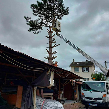 Entretien d'espaces verts et élagage à Champigny sur Marne dans le Val de Marne (94) - Elagage Reihnardt