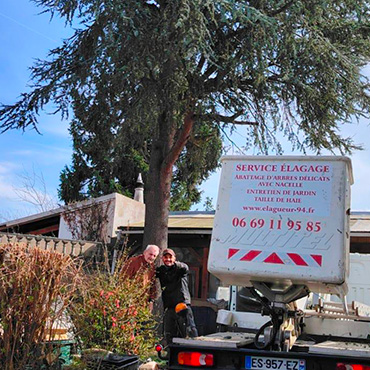 Entretien d'espaces verts et élagage à Champigny sur Marne dans le Val de Marne (94) - Elagage Reihnardt