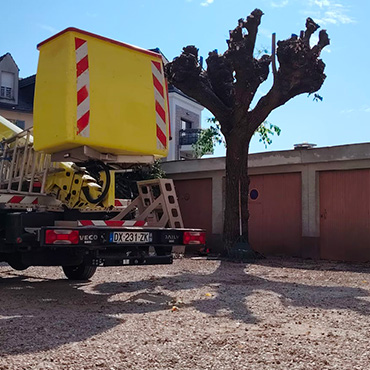 Entretien d'espaces verts et élagage à Champigny sur Marne dans le Val de Marne (94) - Elagage Reihnardt