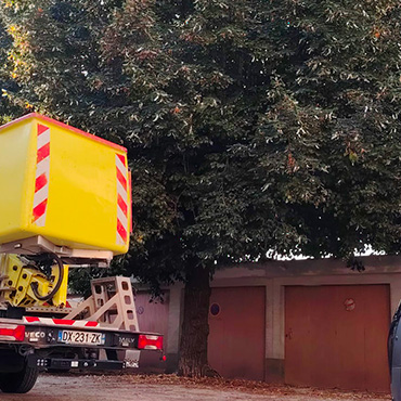 Entretien d'espaces verts et élagage à Champigny sur Marne dans le Val de Marne (94) - Elagage Reihnardt