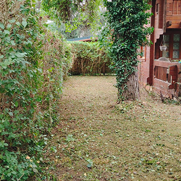 Entretien d'espaces verts et élagage à Champigny sur Marne dans le Val de Marne (94) - Elagage Reihnardt