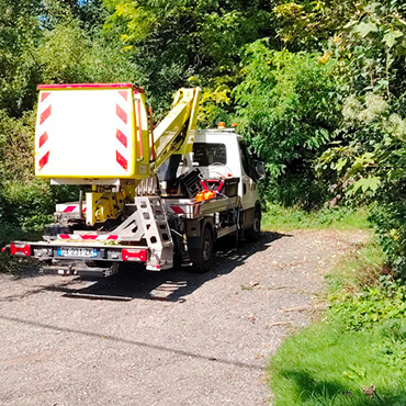 Entretien d'espaces verts et élagage à Champigny sur Marne dans le Val de Marne (94) - Elagage Reihnardt