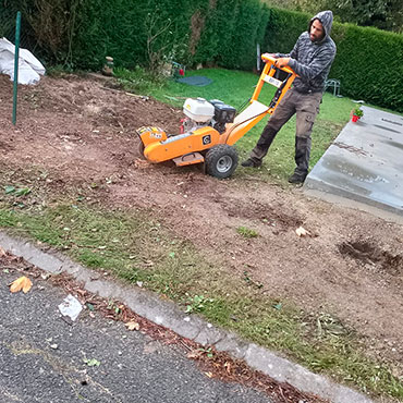 Entretien d'espaces verts et élagage à Champigny sur Marne dans le Val de Marne (94) - Elagage Reihnardt