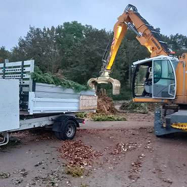 Entretien d'espaces verts et élagage à Champigny sur Marne dans le Val de Marne (94) - Elagage Reihnardt