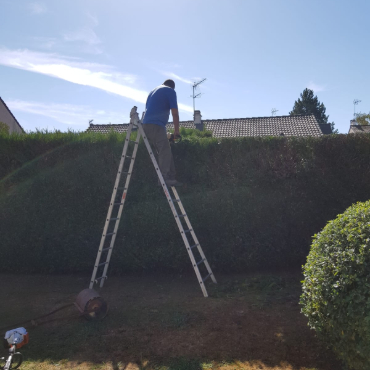 Entretien d'espaces verts et élagage à Champigny sur Marne dans le Val de Marne (94) - Elagage Reihnardt