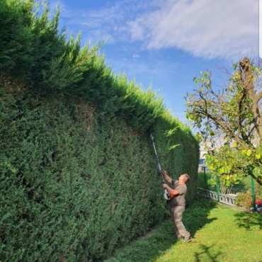 Entretien d'espaces verts et élagage à Champigny sur Marne dans le Val de Marne (94) - Elagage Reihnardt