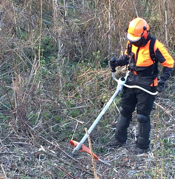 Debroussaillage à Champigny sur Marne (94500) dans le Val de Marne (94)