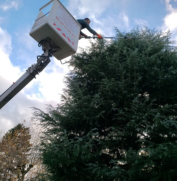 Artisans élagueurs à Champigny sur Marne (94500)dans le Val de Marne (94)