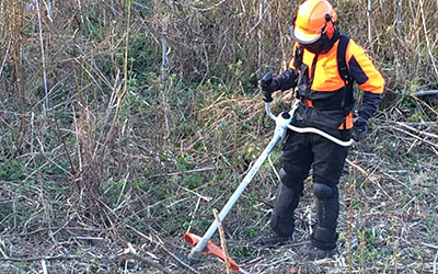 Débroussaillage d'espaces verts à Champigny sur Marne (94500) dans le Val de Marne (94)